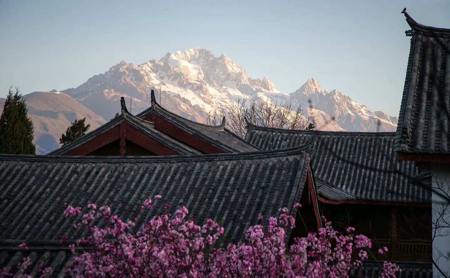 Lijiang old town rooftops below Jade Dragon Snow Mountain, seen from Amandayan