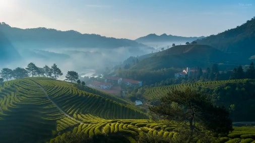 Jiaye Mountain House set among the Wuyi tea hills