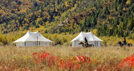 Glamping tents at Hidden Valley Resort with riders passing by
