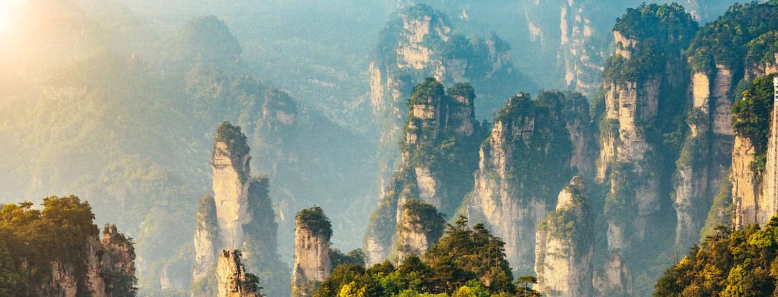 Mist-wrapped sandstone pillars of Zhangjiajie at sunrise