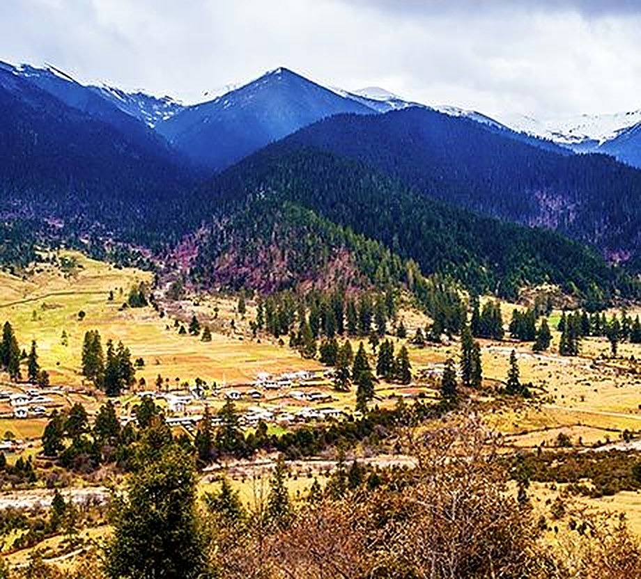 Village and forested valley beneath snow-capped peaks near Lulang